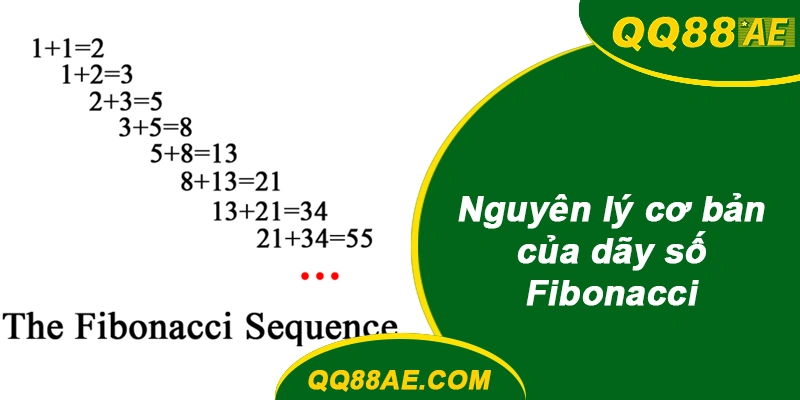 Chiến Thuật Fibonacci & Mẹo Soi Cầu Baccarat Ở QQ88 8 Nguyên lý cơ bản của dãy số Fibonacci